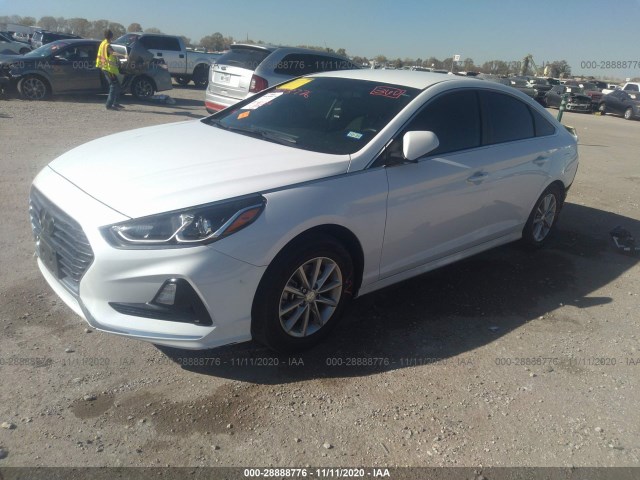 Photo 1 VIN: 5NPE24AF5KH768296 - HYUNDAI SONATA 