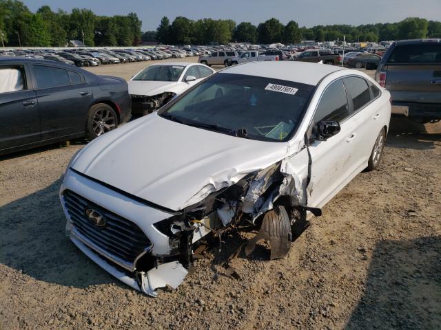 Photo 1 VIN: 5NPE24AF5KH782067 - HYUNDAI SONATA SE 