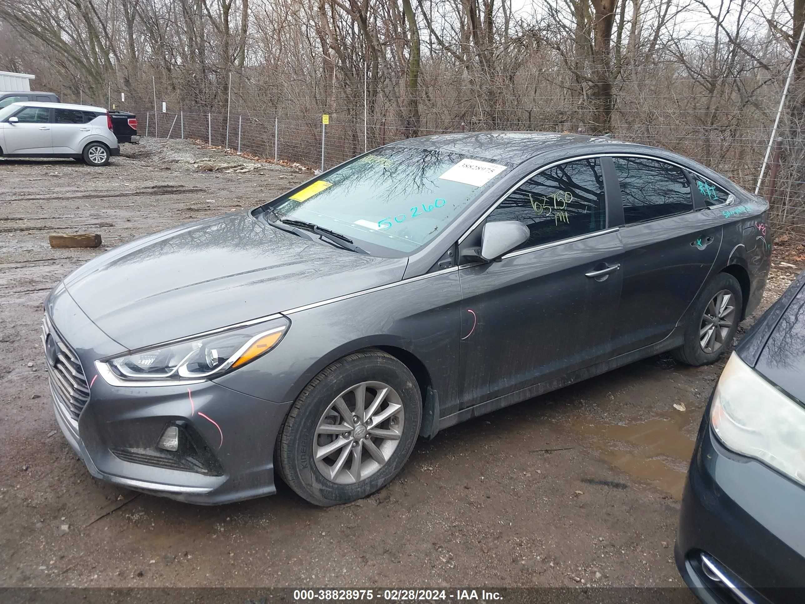 Photo 1 VIN: 5NPE24AF5KH797636 - HYUNDAI SONATA 