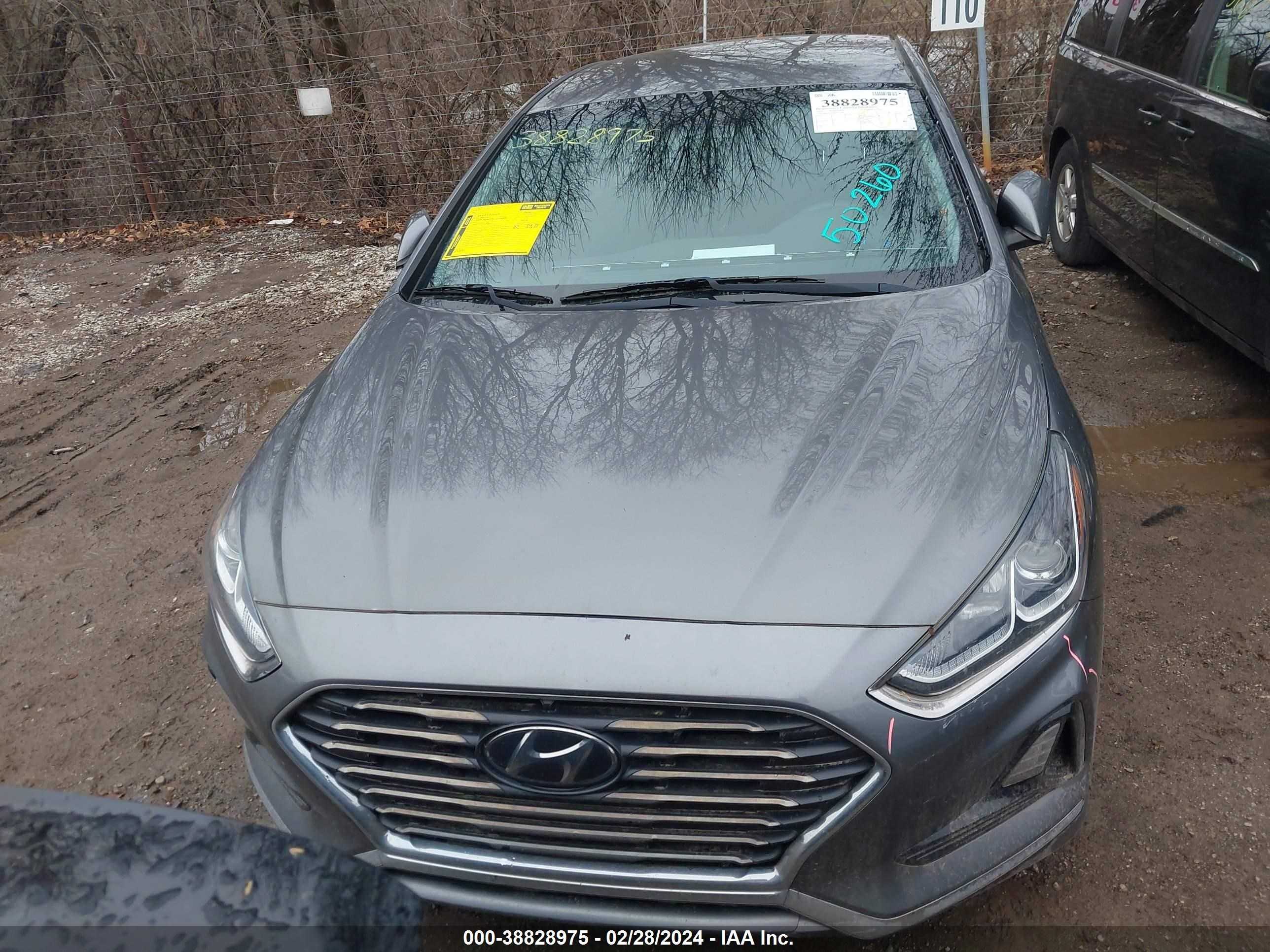 Photo 11 VIN: 5NPE24AF5KH797636 - HYUNDAI SONATA 