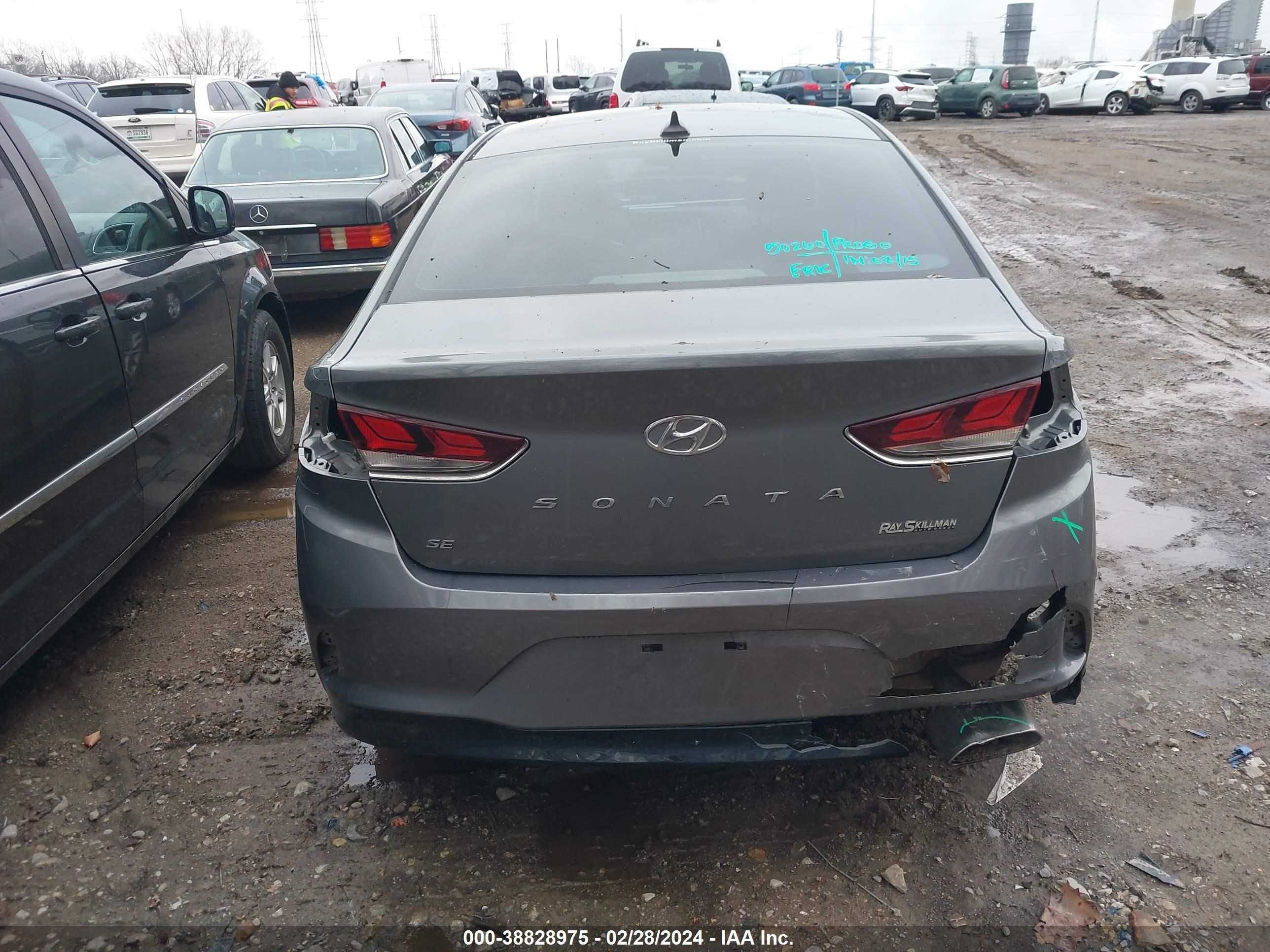 Photo 15 VIN: 5NPE24AF5KH797636 - HYUNDAI SONATA 