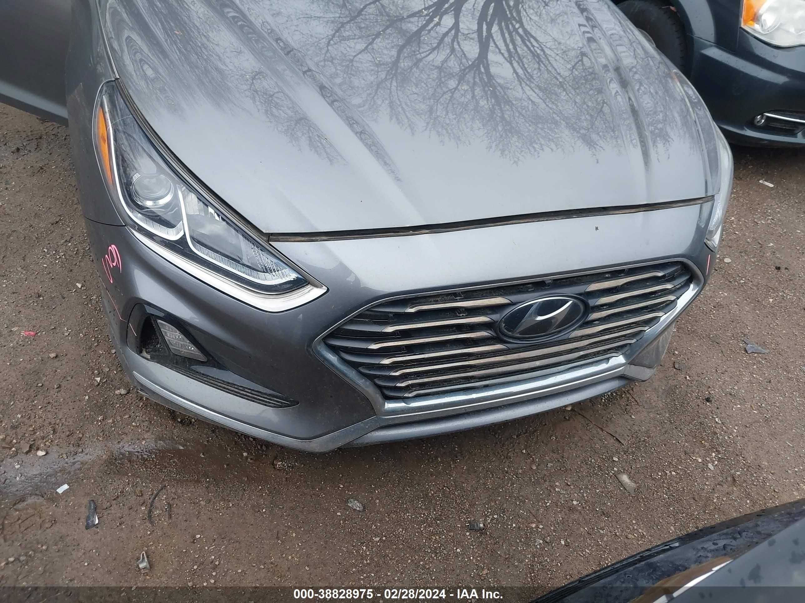 Photo 16 VIN: 5NPE24AF5KH797636 - HYUNDAI SONATA 