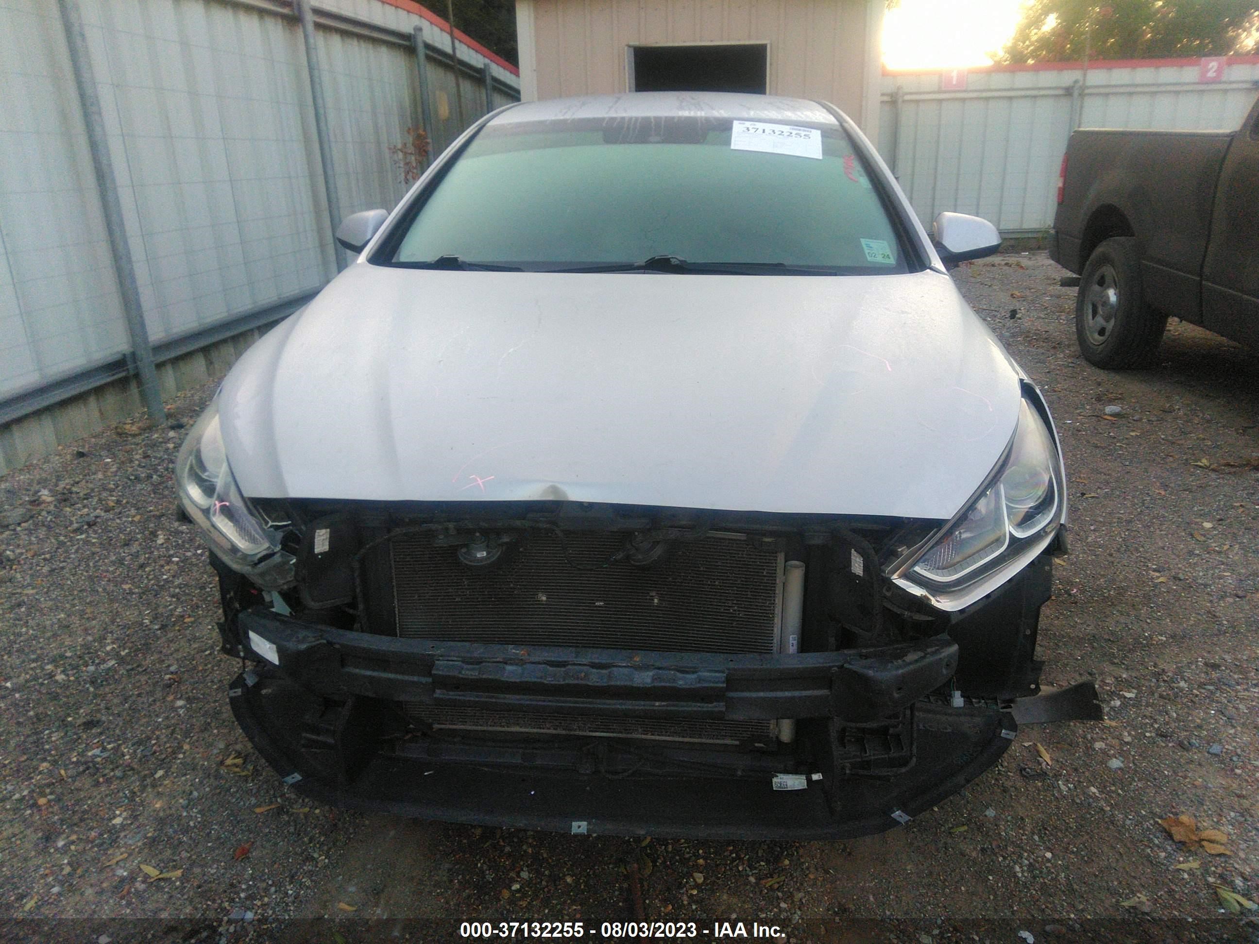 Photo 11 VIN: 5NPE24AF5KH800566 - HYUNDAI SONATA 