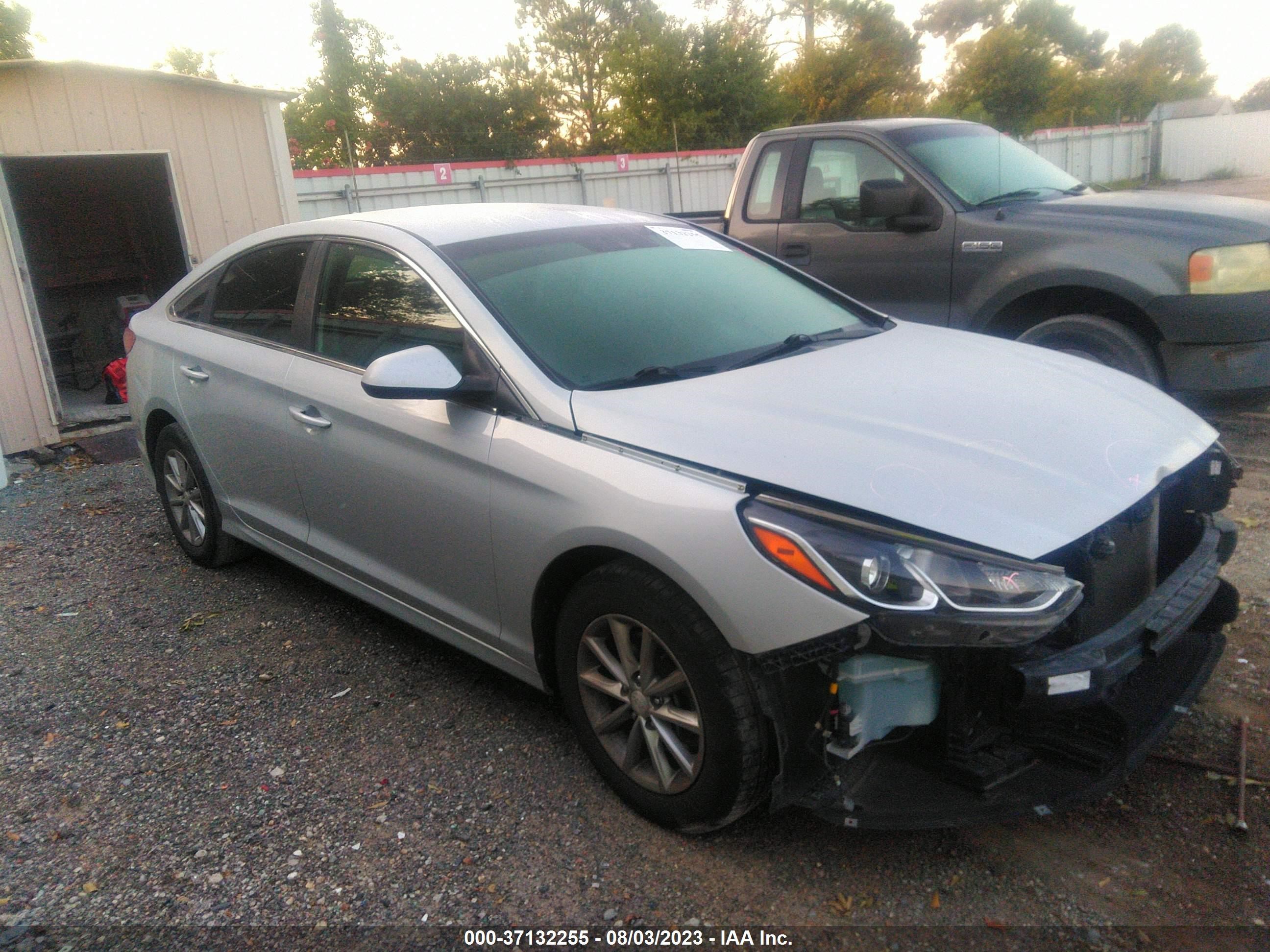 Photo 12 VIN: 5NPE24AF5KH800566 - HYUNDAI SONATA 