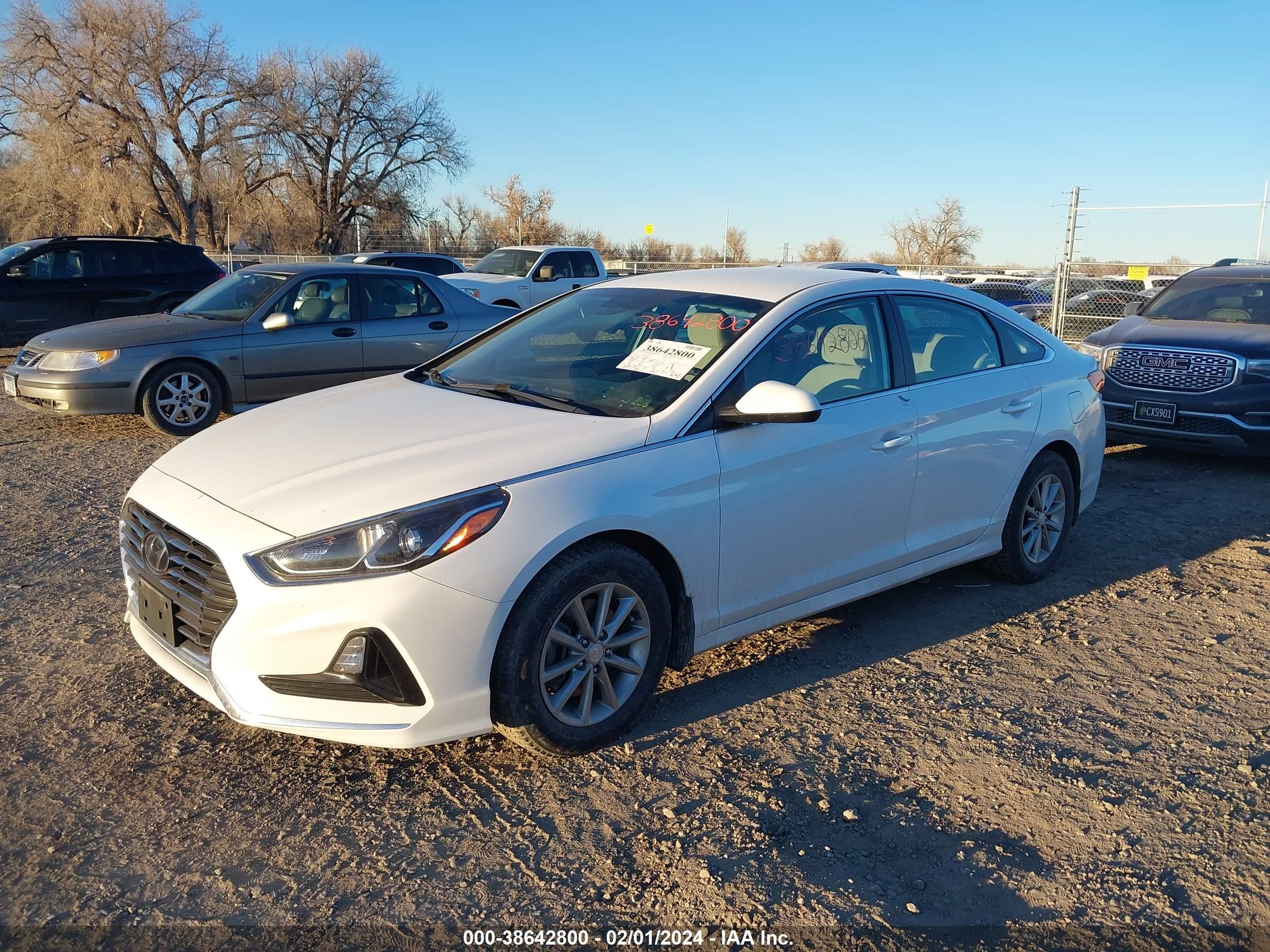 Photo 1 VIN: 5NPE24AF5KH806500 - HYUNDAI SONATA 