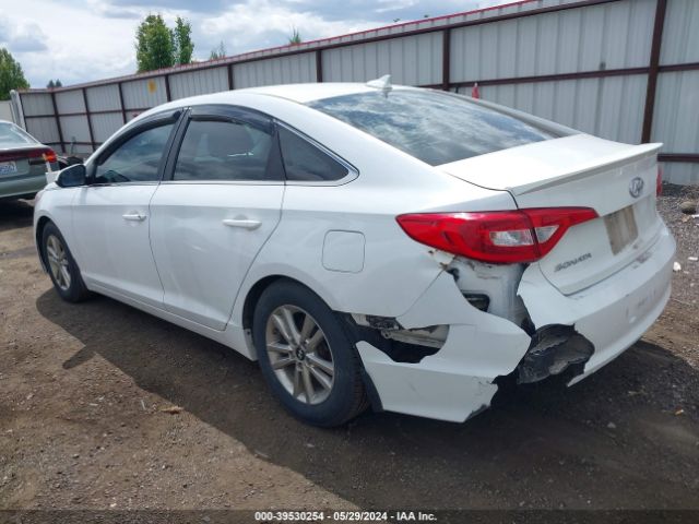 Photo 2 VIN: 5NPE24AF6FH004804 - HYUNDAI SONATA 