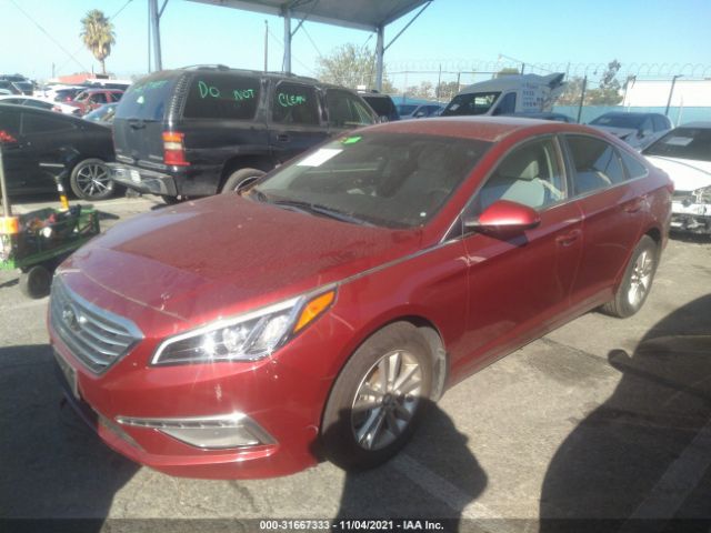 Photo 1 VIN: 5NPE24AF6FH177576 - HYUNDAI SONATA 