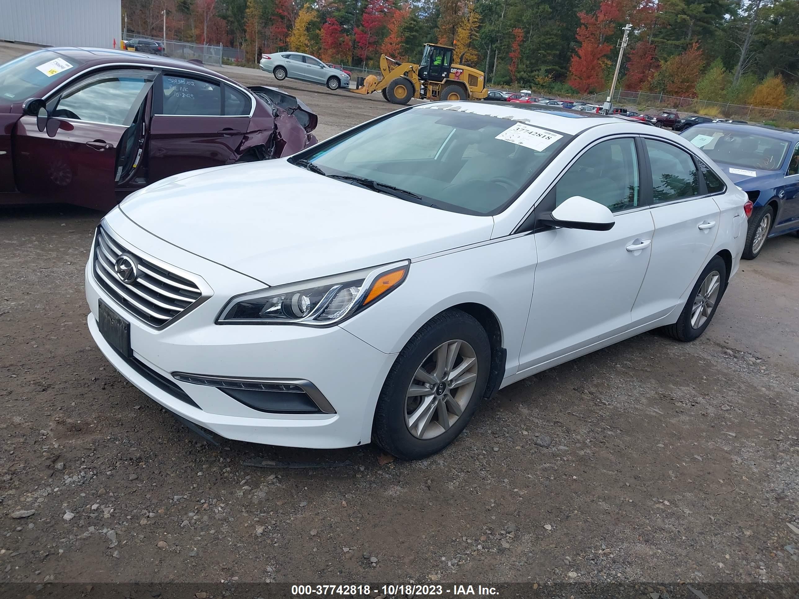 Photo 1 VIN: 5NPE24AF6FH231541 - HYUNDAI SONATA 