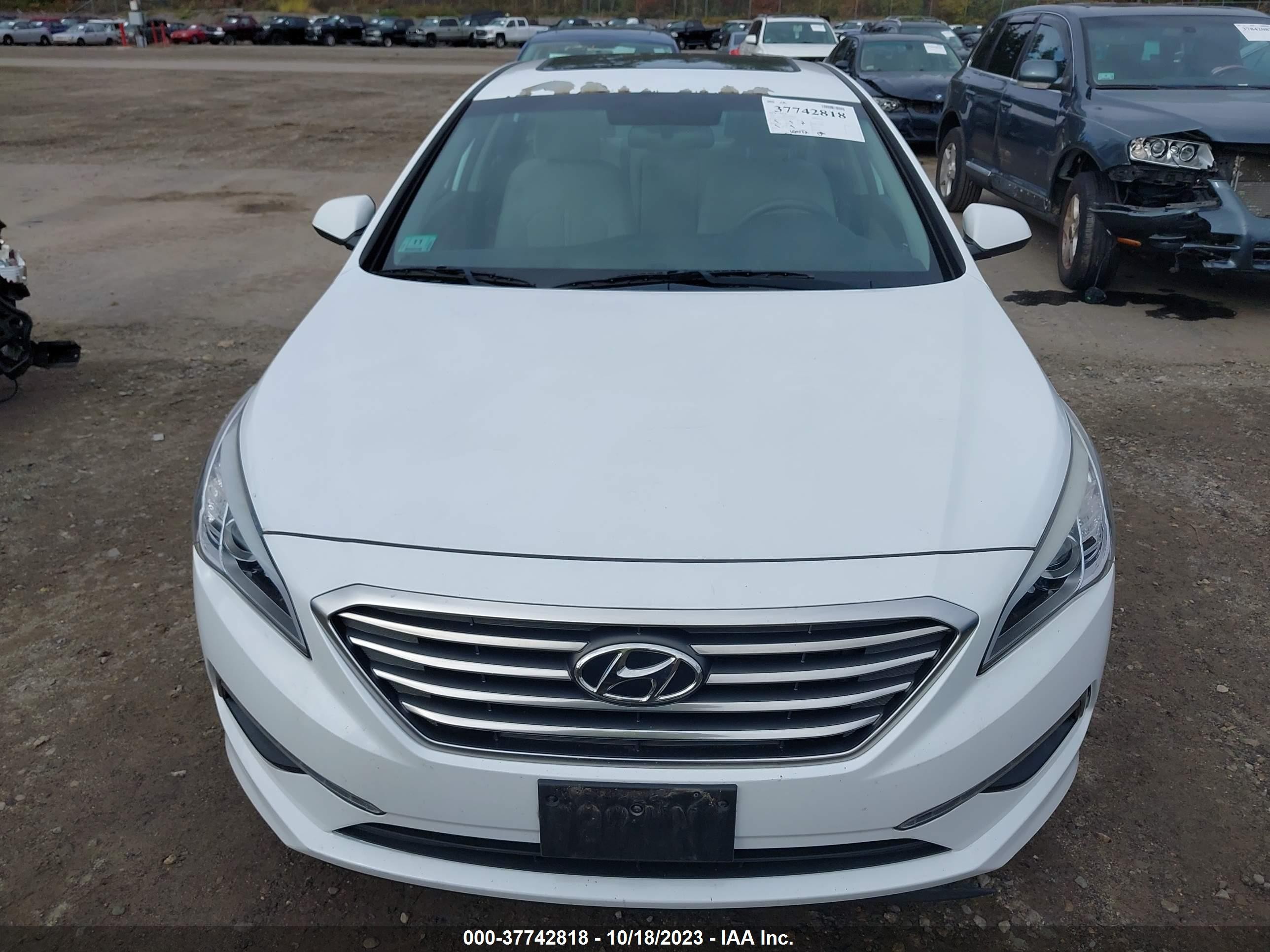 Photo 11 VIN: 5NPE24AF6FH231541 - HYUNDAI SONATA 