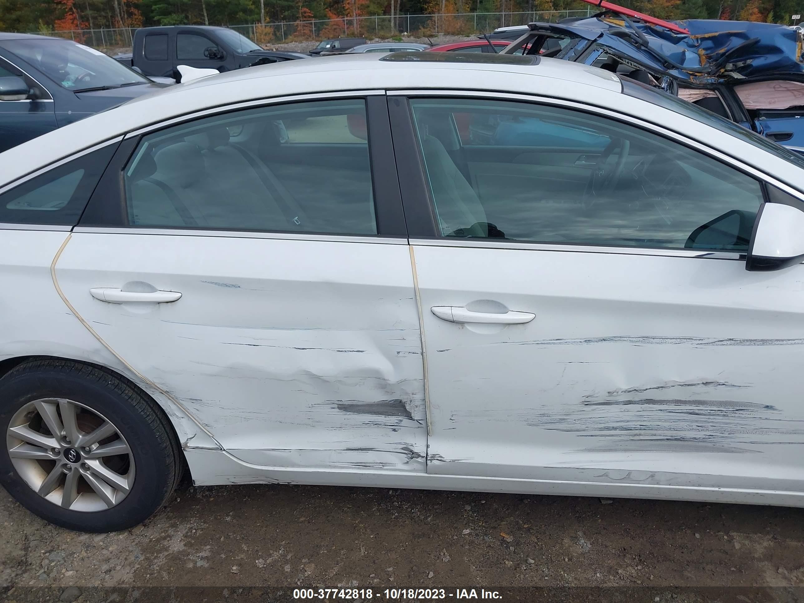 Photo 12 VIN: 5NPE24AF6FH231541 - HYUNDAI SONATA 