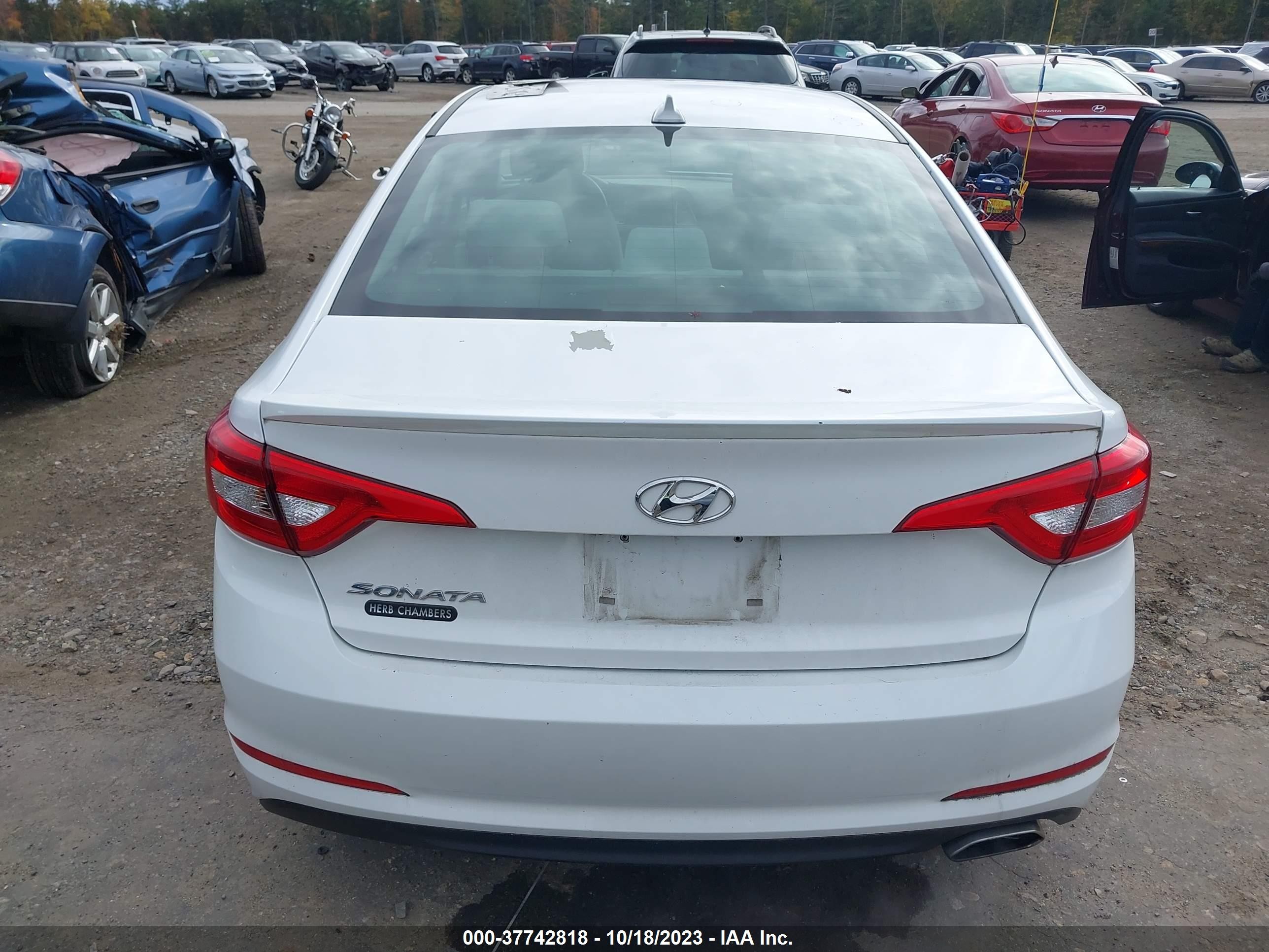 Photo 15 VIN: 5NPE24AF6FH231541 - HYUNDAI SONATA 