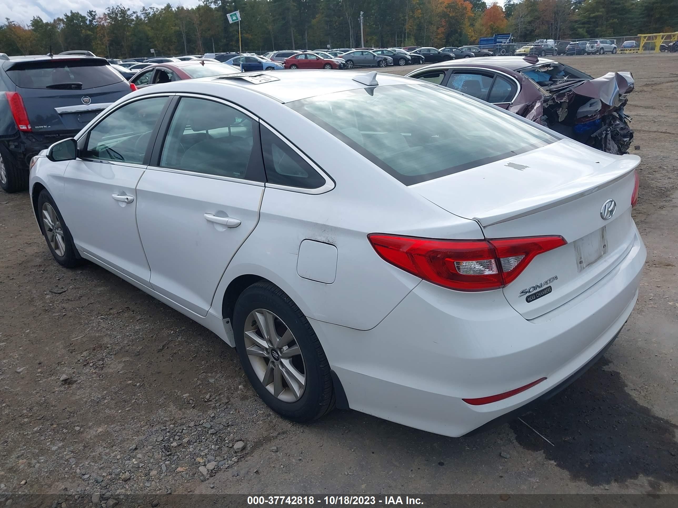 Photo 2 VIN: 5NPE24AF6FH231541 - HYUNDAI SONATA 