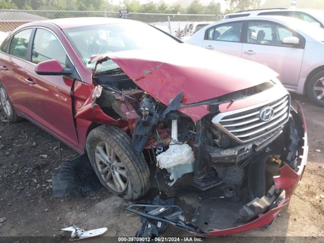 Photo 5 VIN: 5NPE24AF6FH232799 - HYUNDAI SONATA 