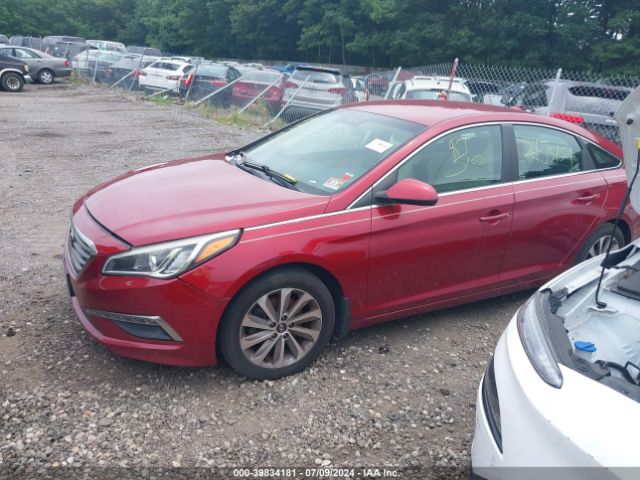 Photo 1 VIN: 5NPE24AF6FH243981 - HYUNDAI SONATA 