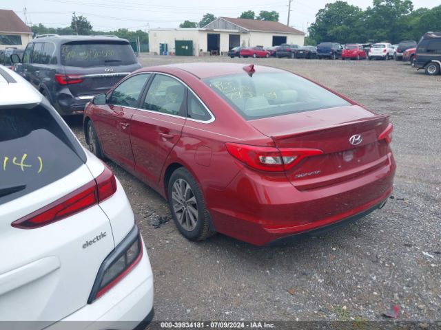 Photo 2 VIN: 5NPE24AF6FH243981 - HYUNDAI SONATA 