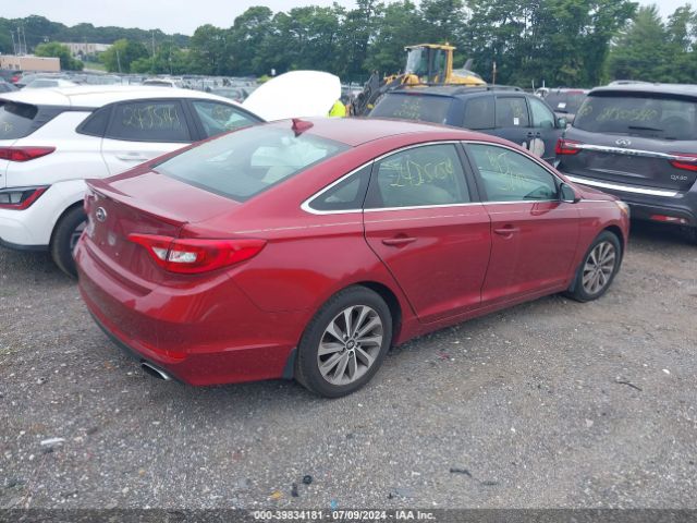 Photo 3 VIN: 5NPE24AF6FH243981 - HYUNDAI SONATA 