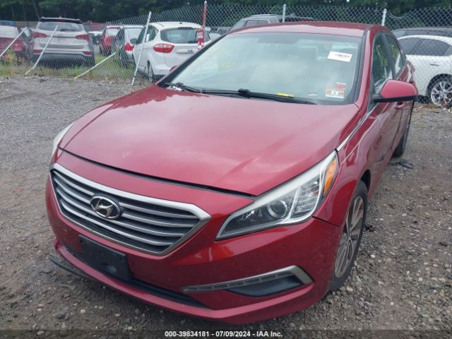 Photo 5 VIN: 5NPE24AF6FH243981 - HYUNDAI SONATA 