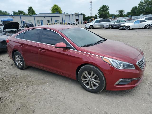 Photo 3 VIN: 5NPE24AF6FH249344 - HYUNDAI SONATA SE 