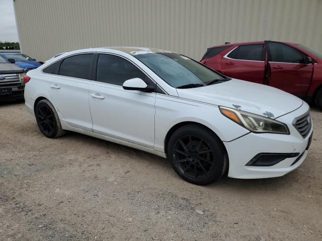 Photo 3 VIN: 5NPE24AF6GH260569 - HYUNDAI SONATA 