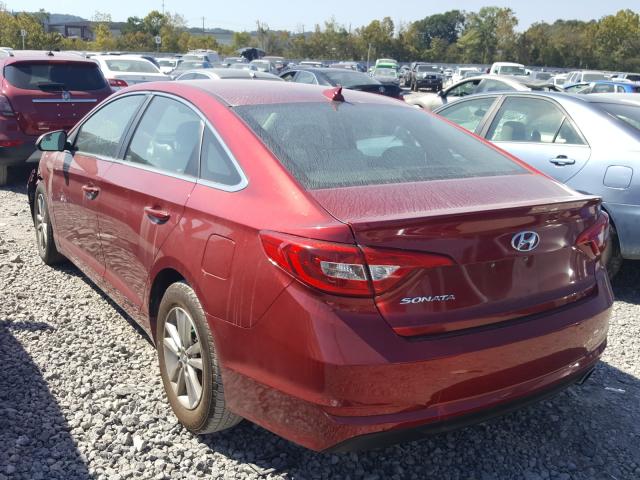 Photo 2 VIN: 5NPE24AF6GH264704 - HYUNDAI SONATA SE 