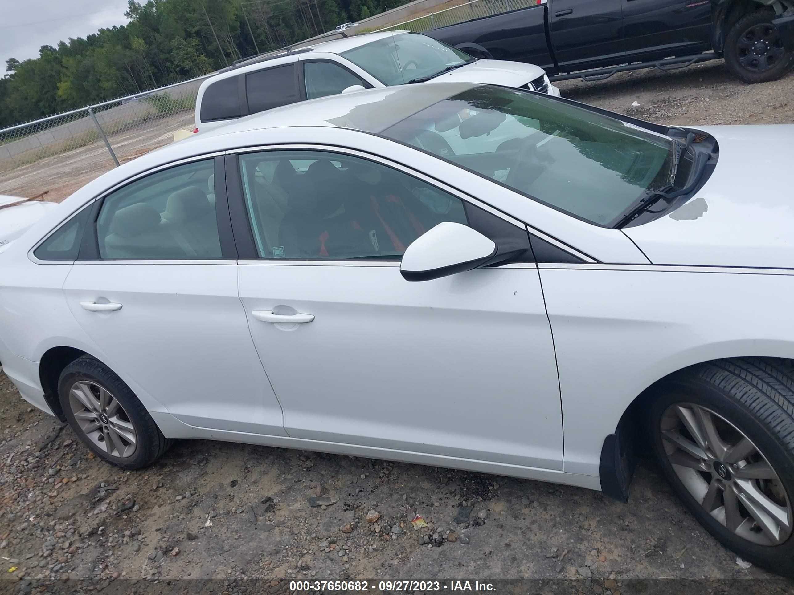 Photo 12 VIN: 5NPE24AF6GH282328 - HYUNDAI SONATA 