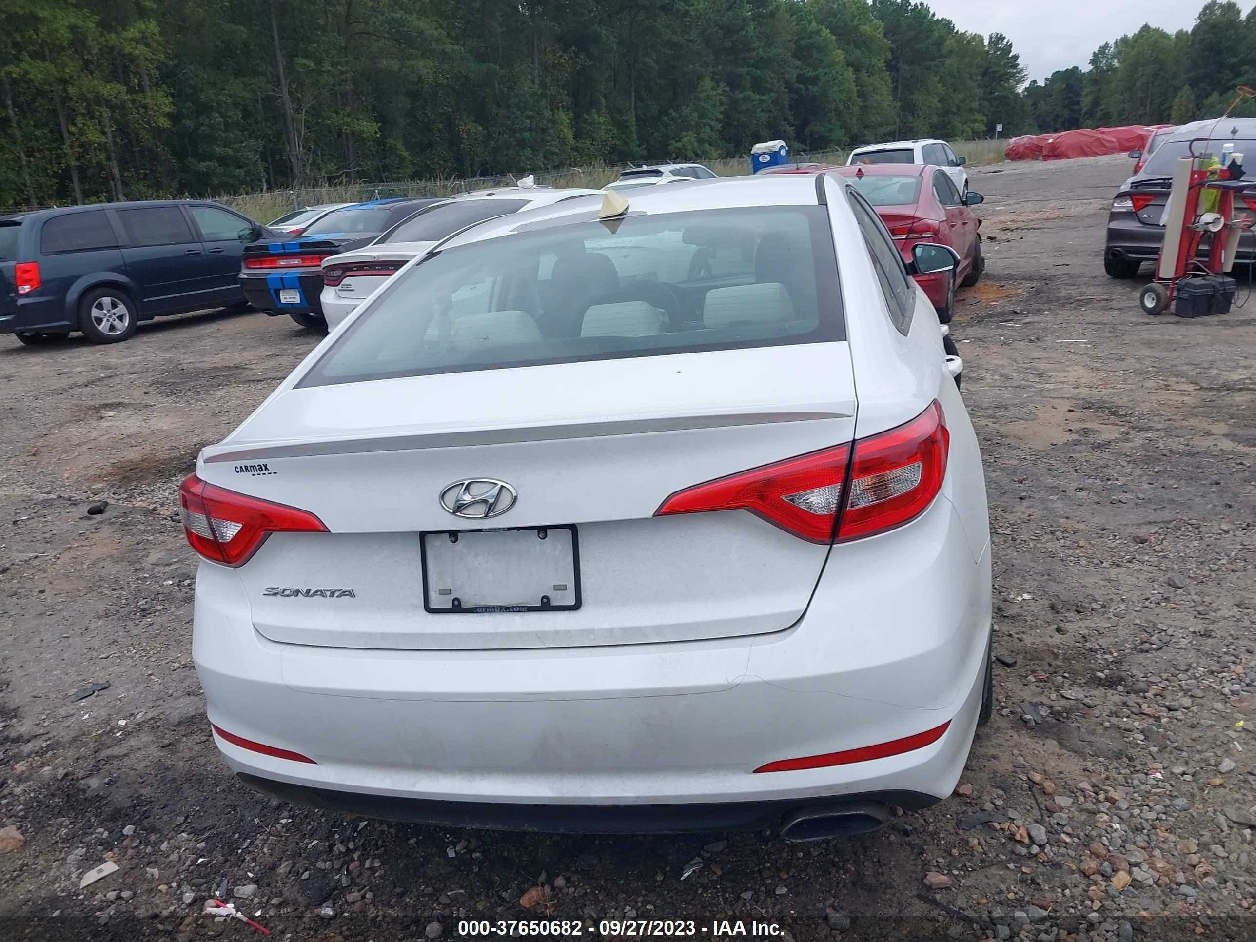 Photo 15 VIN: 5NPE24AF6GH282328 - HYUNDAI SONATA 