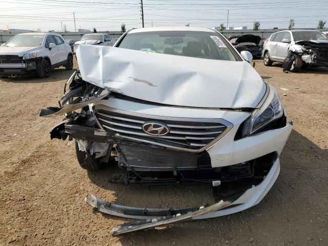 Photo 4 VIN: 5NPE24AF6GH284726 - HYUNDAI SONATA SE 