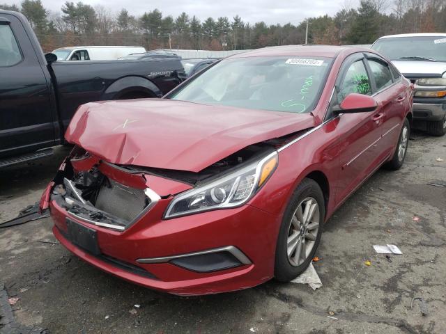 Photo 1 VIN: 5NPE24AF6GH287156 - HYUNDAI SONATA SE 