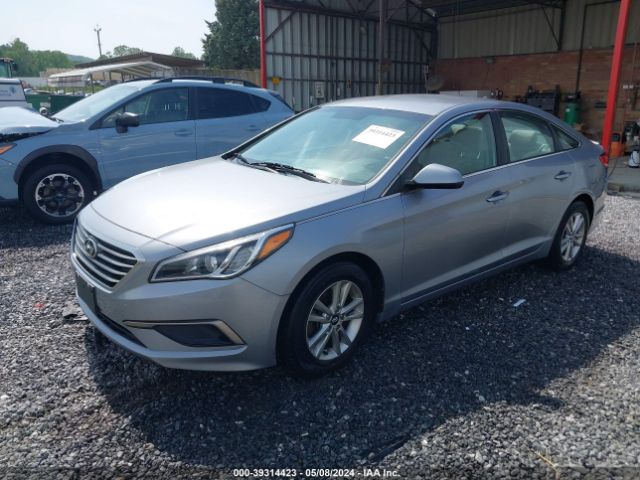 Photo 1 VIN: 5NPE24AF6GH310600 - HYUNDAI SONATA 