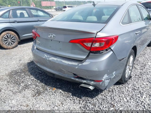 Photo 5 VIN: 5NPE24AF6GH310600 - HYUNDAI SONATA 