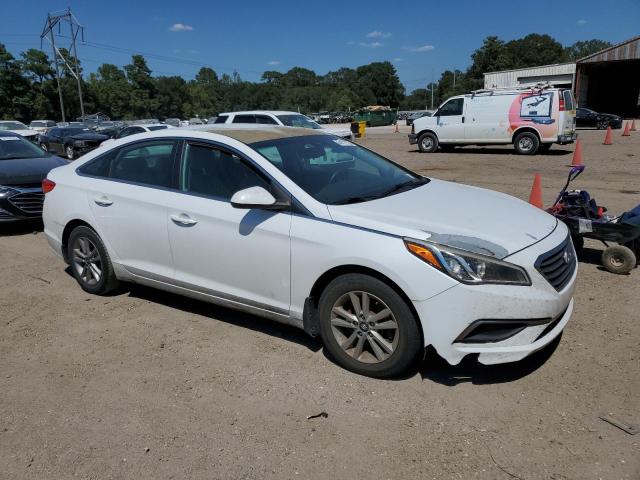 Photo 3 VIN: 5NPE24AF6GH325081 - HYUNDAI SONATA 