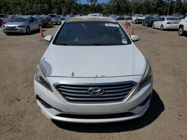 Photo 4 VIN: 5NPE24AF6GH325081 - HYUNDAI SONATA 