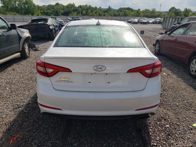 Photo 5 VIN: 5NPE24AF6GH334489 - HYUNDAI SONATA 