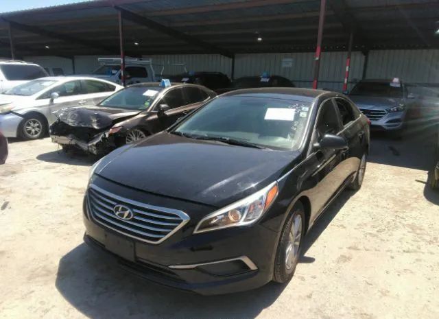 Photo 5 VIN: 5NPE24AF6GH349624 - HYUNDAI SONATA 