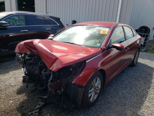 Photo 1 VIN: 5NPE24AF6GH358467 - HYUNDAI SONATA SE 