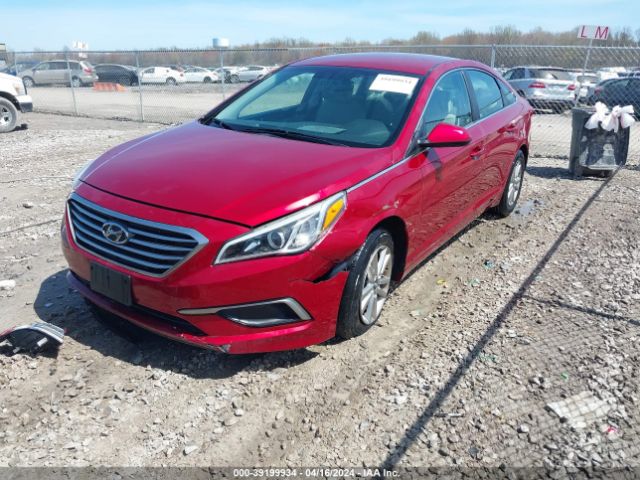 Photo 1 VIN: 5NPE24AF6GH364284 - HYUNDAI SONATA 