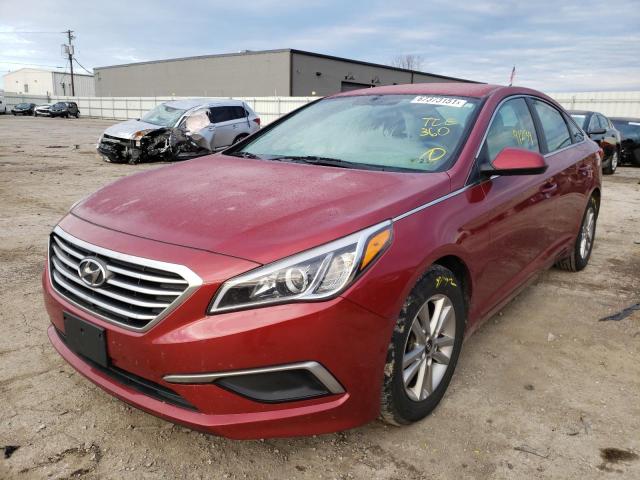 Photo 1 VIN: 5NPE24AF6GH371770 - HYUNDAI SONATA SE 