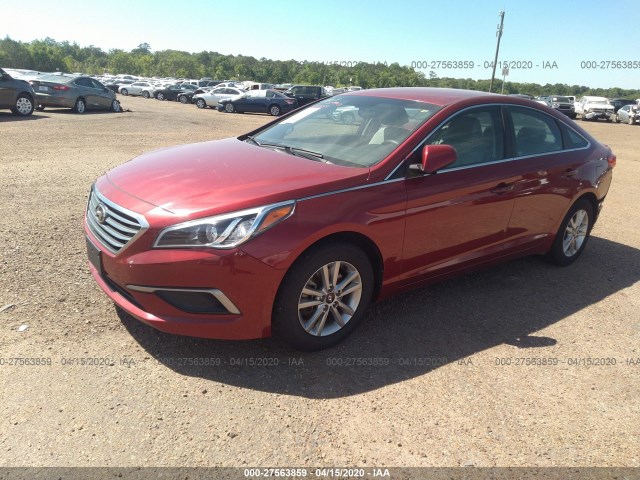 Photo 1 VIN: 5NPE24AF6GH374975 - HYUNDAI SONATA 