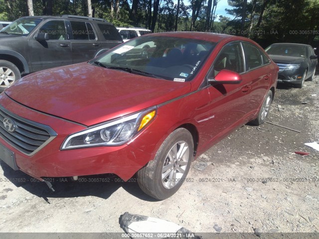 Photo 1 VIN: 5NPE24AF6GH396703 - HYUNDAI SONATA 