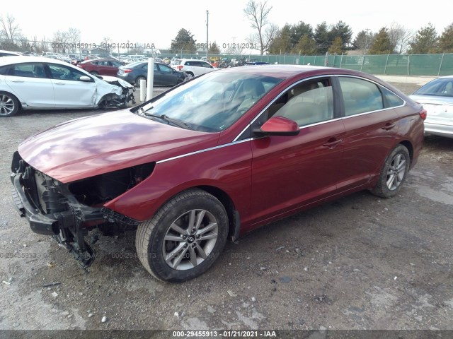 Photo 1 VIN: 5NPE24AF6GH424967 - HYUNDAI SONATA 