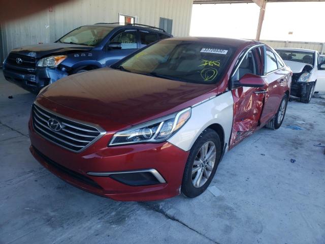 Photo 1 VIN: 5NPE24AF6GH430428 - HYUNDAI SONATA SE 