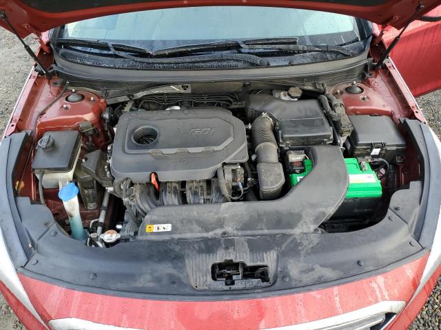 Photo 10 VIN: 5NPE24AF6GH431837 - HYUNDAI SONATA 