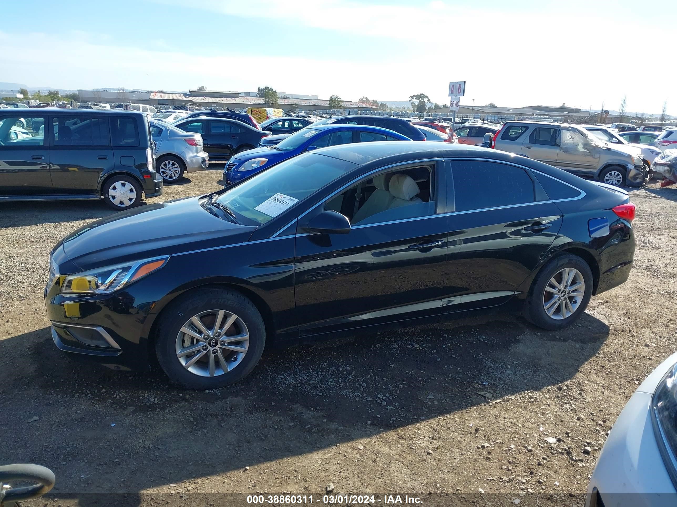 Photo 12 VIN: 5NPE24AF6HH437817 - HYUNDAI SONATA 