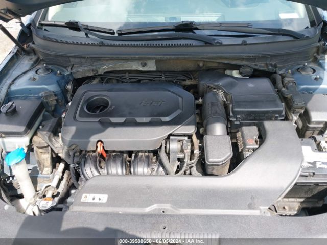 Photo 9 VIN: 5NPE24AF6HH446534 - HYUNDAI SONATA 