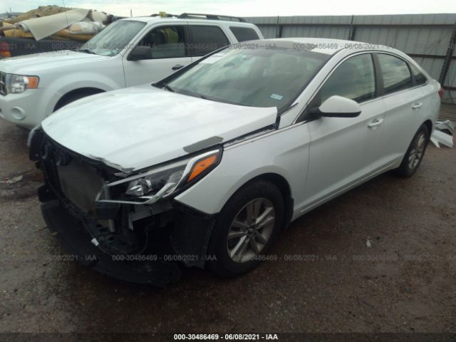 Photo 1 VIN: 5NPE24AF6HH450955 - HYUNDAI SONATA 