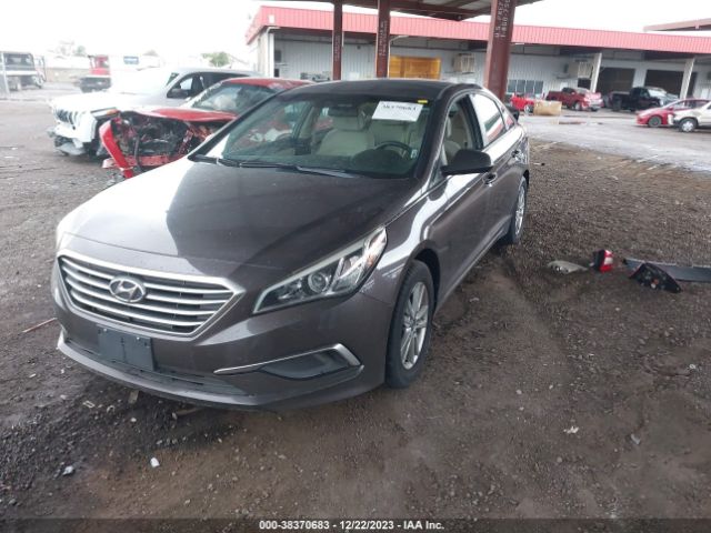 Photo 1 VIN: 5NPE24AF6HH469487 - HYUNDAI SONATA 