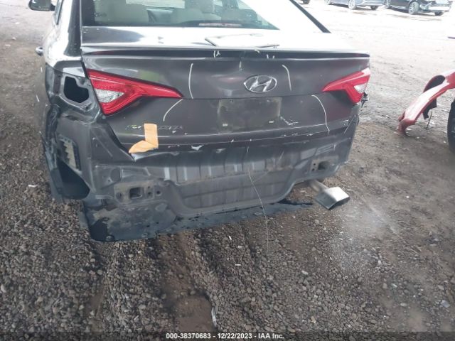 Photo 5 VIN: 5NPE24AF6HH469487 - HYUNDAI SONATA 