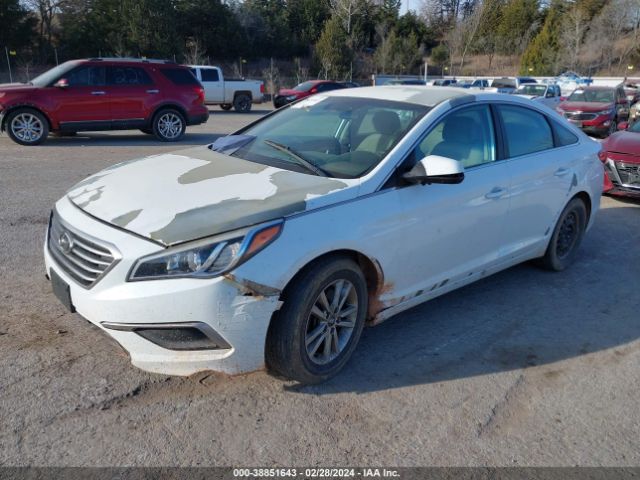 Photo 1 VIN: 5NPE24AF6HH495278 - HYUNDAI SONATA 