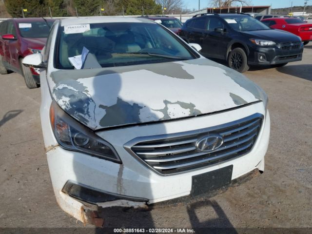 Photo 5 VIN: 5NPE24AF6HH495278 - HYUNDAI SONATA 