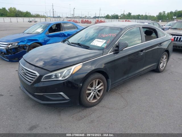 Photo 5 VIN: 5NPE24AF6HH499069 - HYUNDAI SONATA 